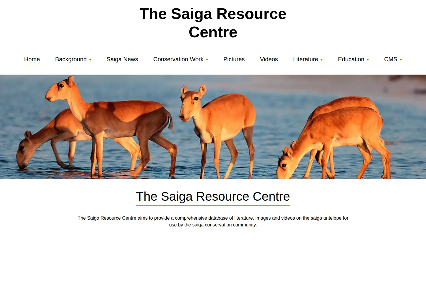 Screenshot of saigaresourcecentre.com