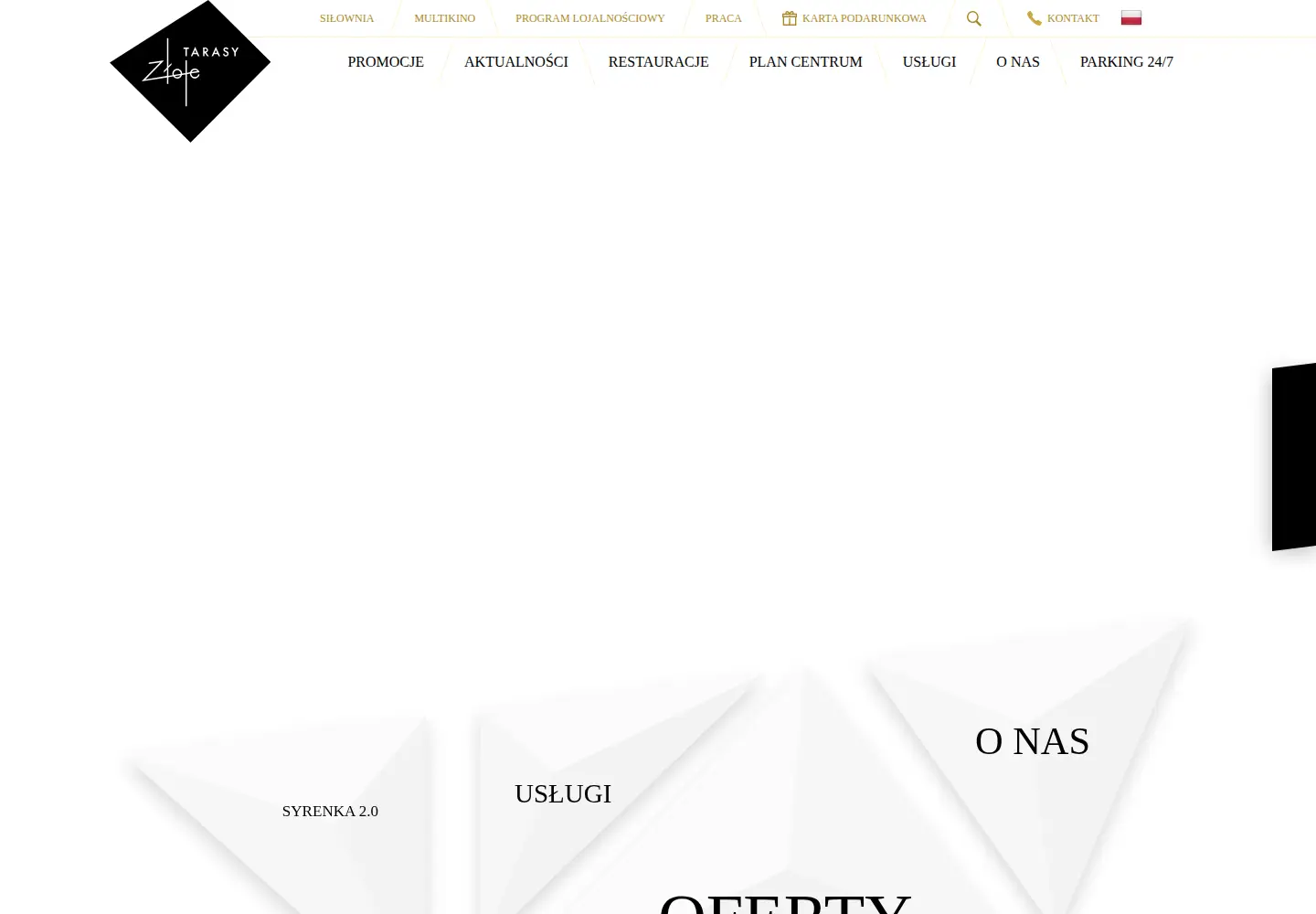 Captured homepage of zlotetarasy.pl in the current scan