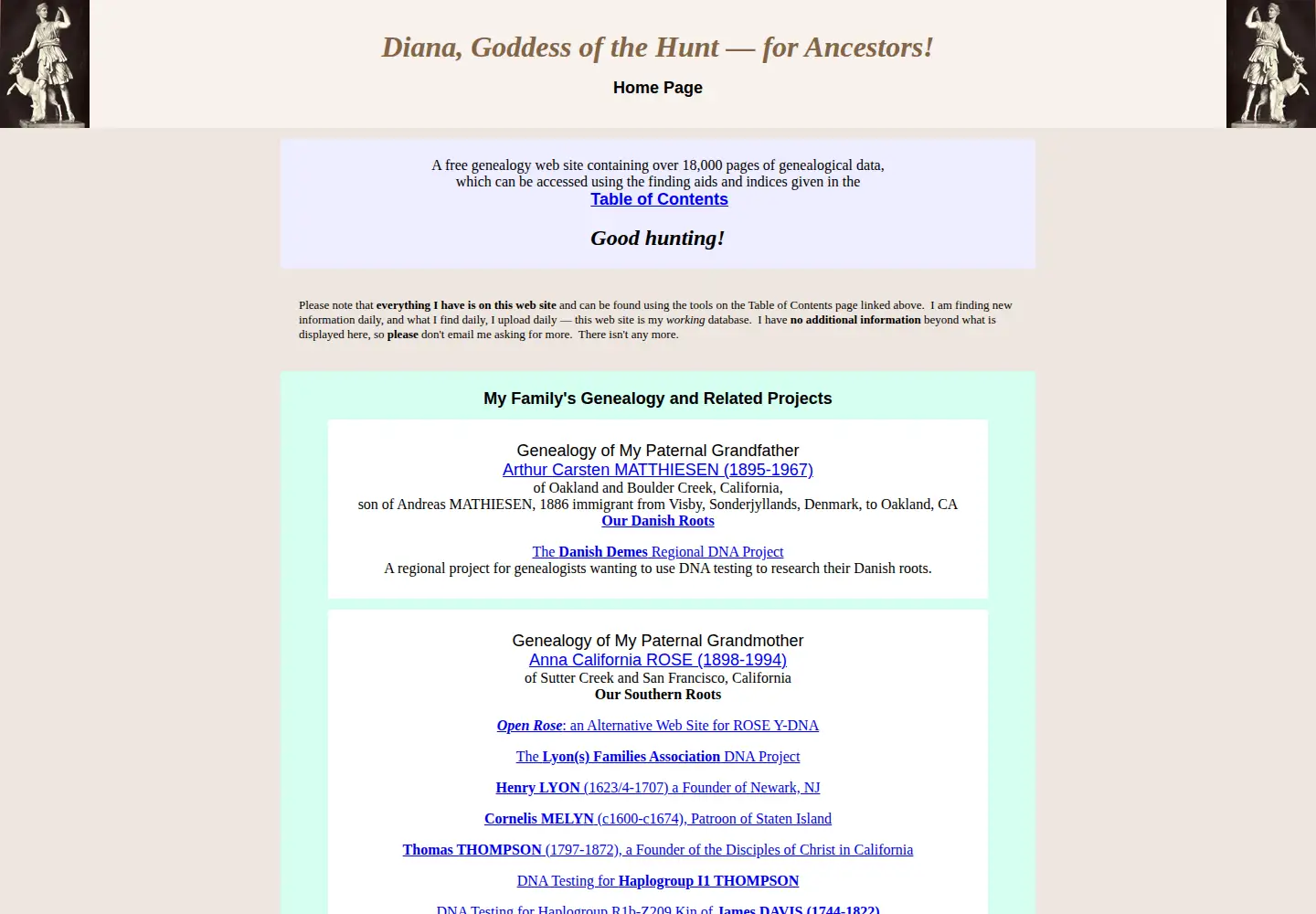 Screenshot of dgmweb.net