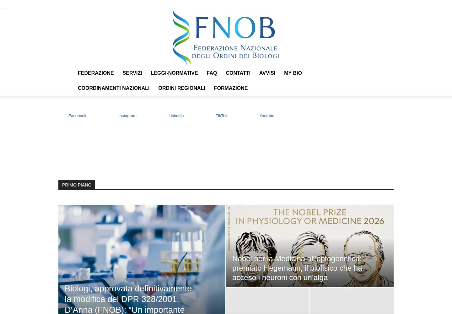 Screenshot of fnob.it
