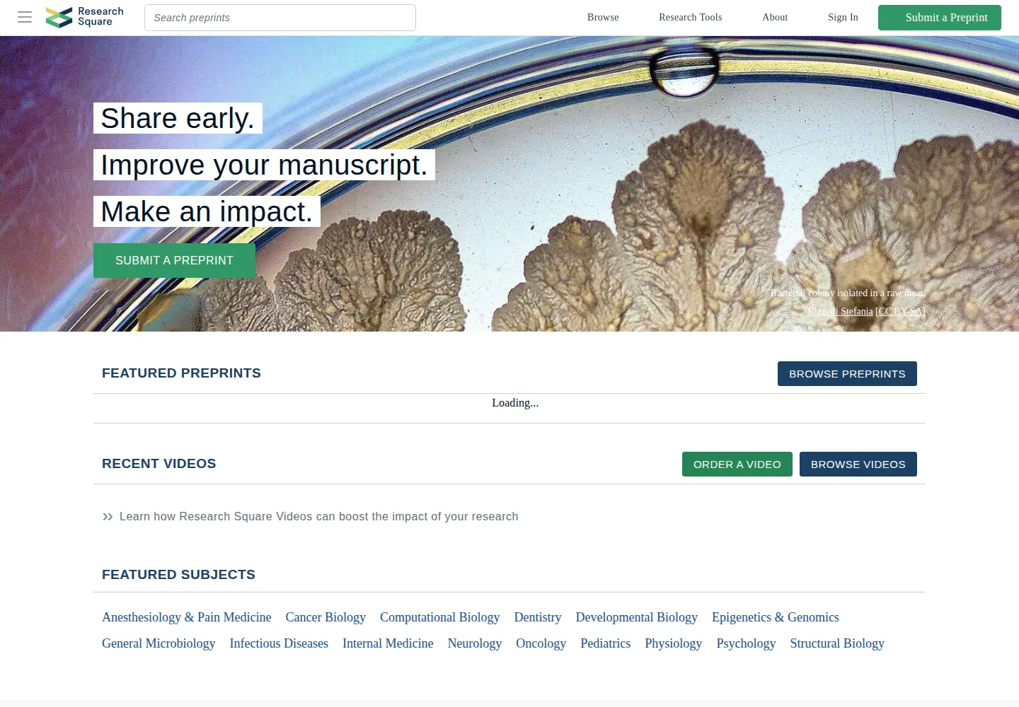 Captured homepage of researchsquare.com in the current scan