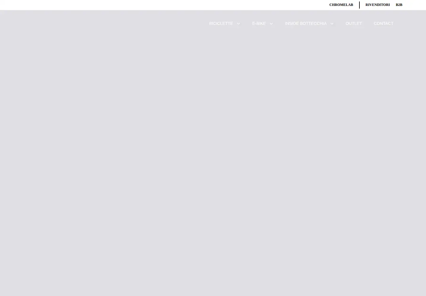 Screenshot of bottecchia.com