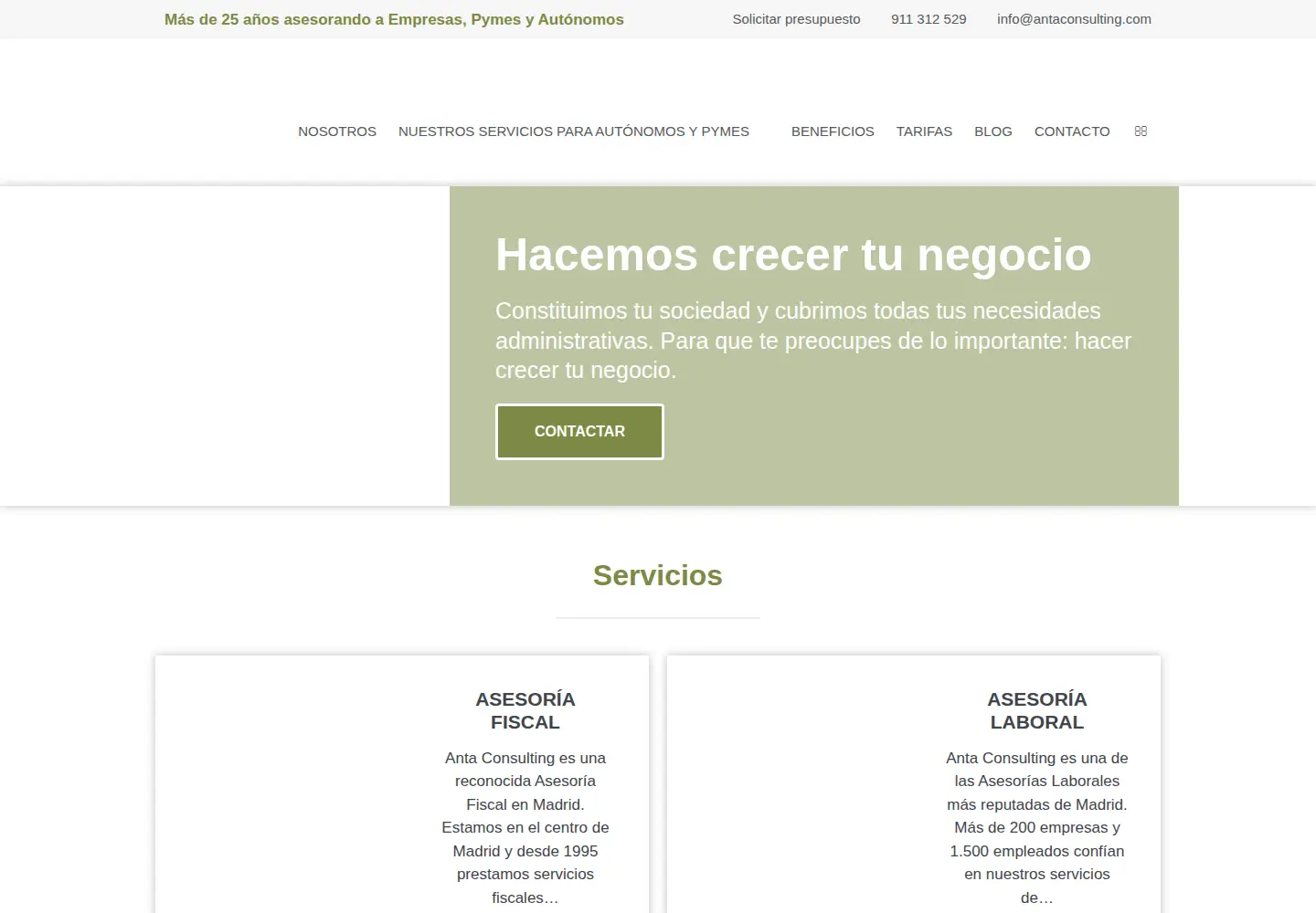 Screenshot of antaconsulting.es