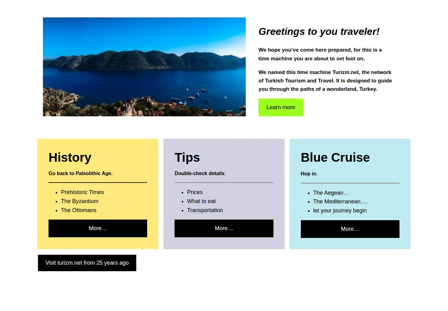 Captured homepage of turizm.net in the current scan