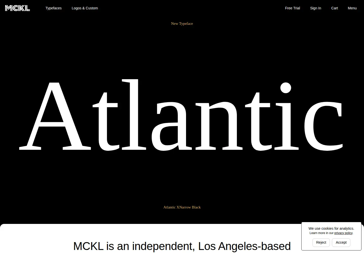 Captured homepage of mckltype.com in the current scan