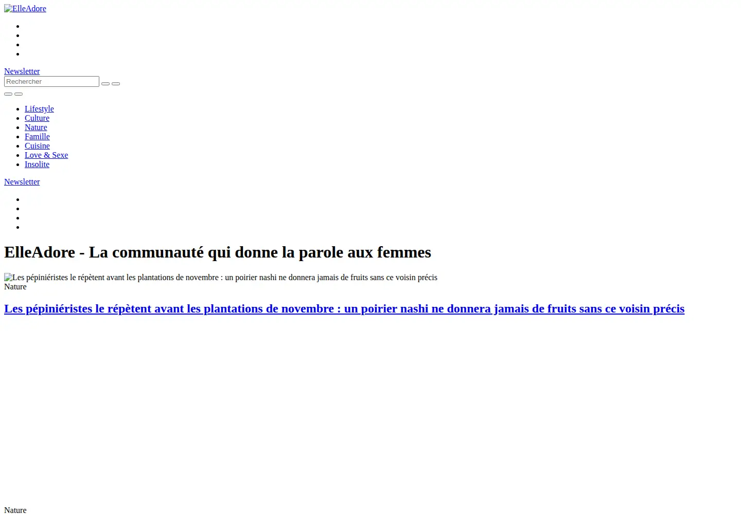 Screenshot of elleadore.com