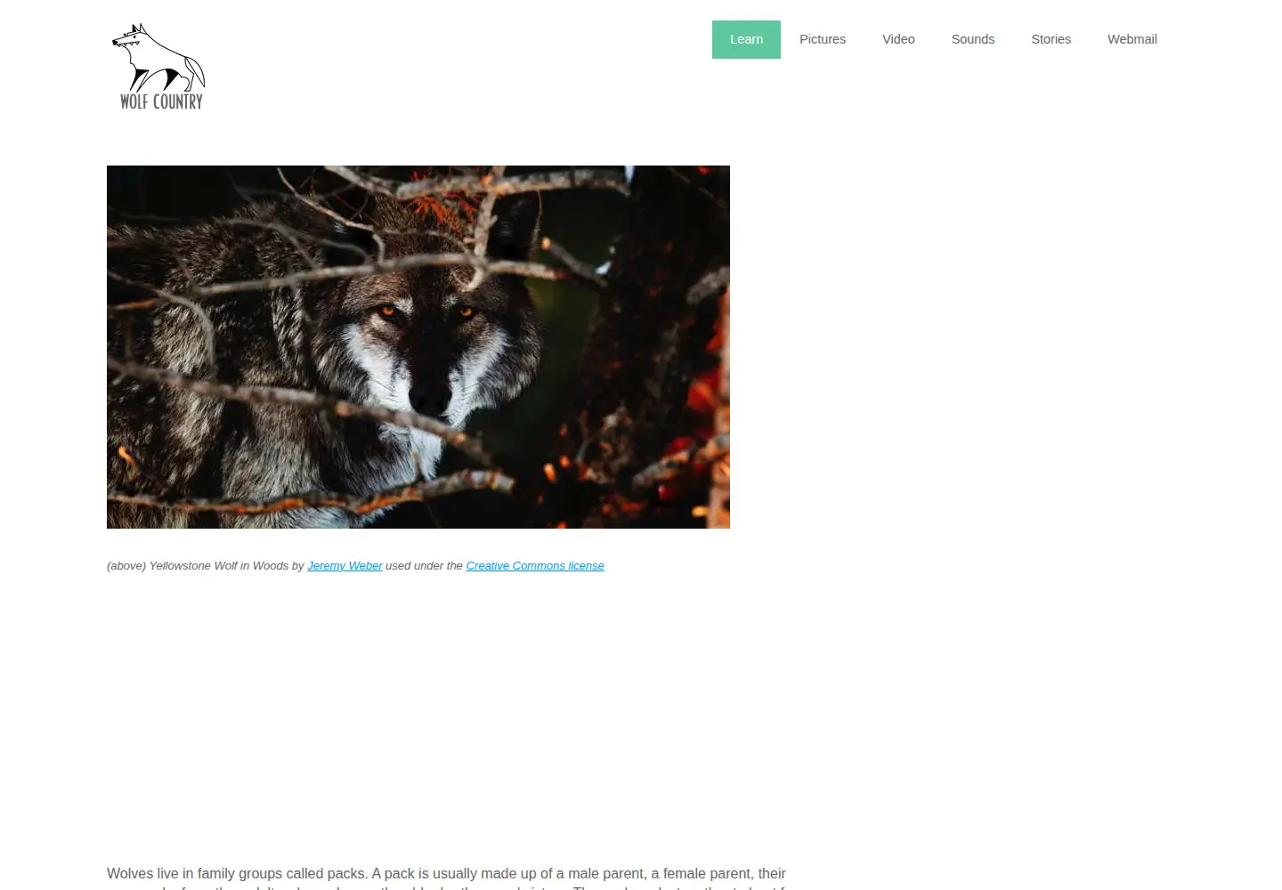 Captured homepage of wolfcountry.net in the current scan