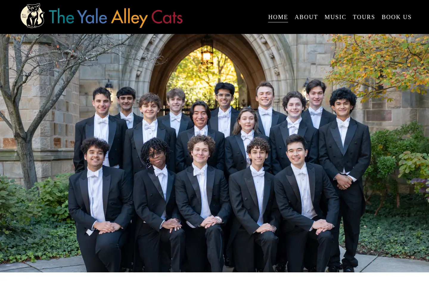 Screenshot of yalealleycats.com