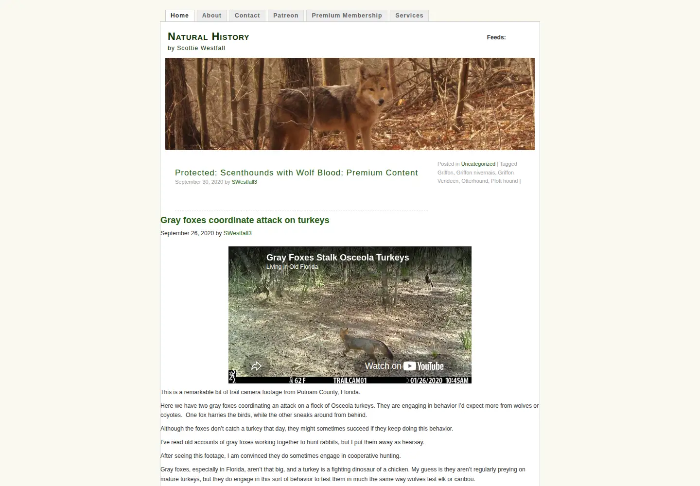 Captured homepage of retrieverman.net in the current scan