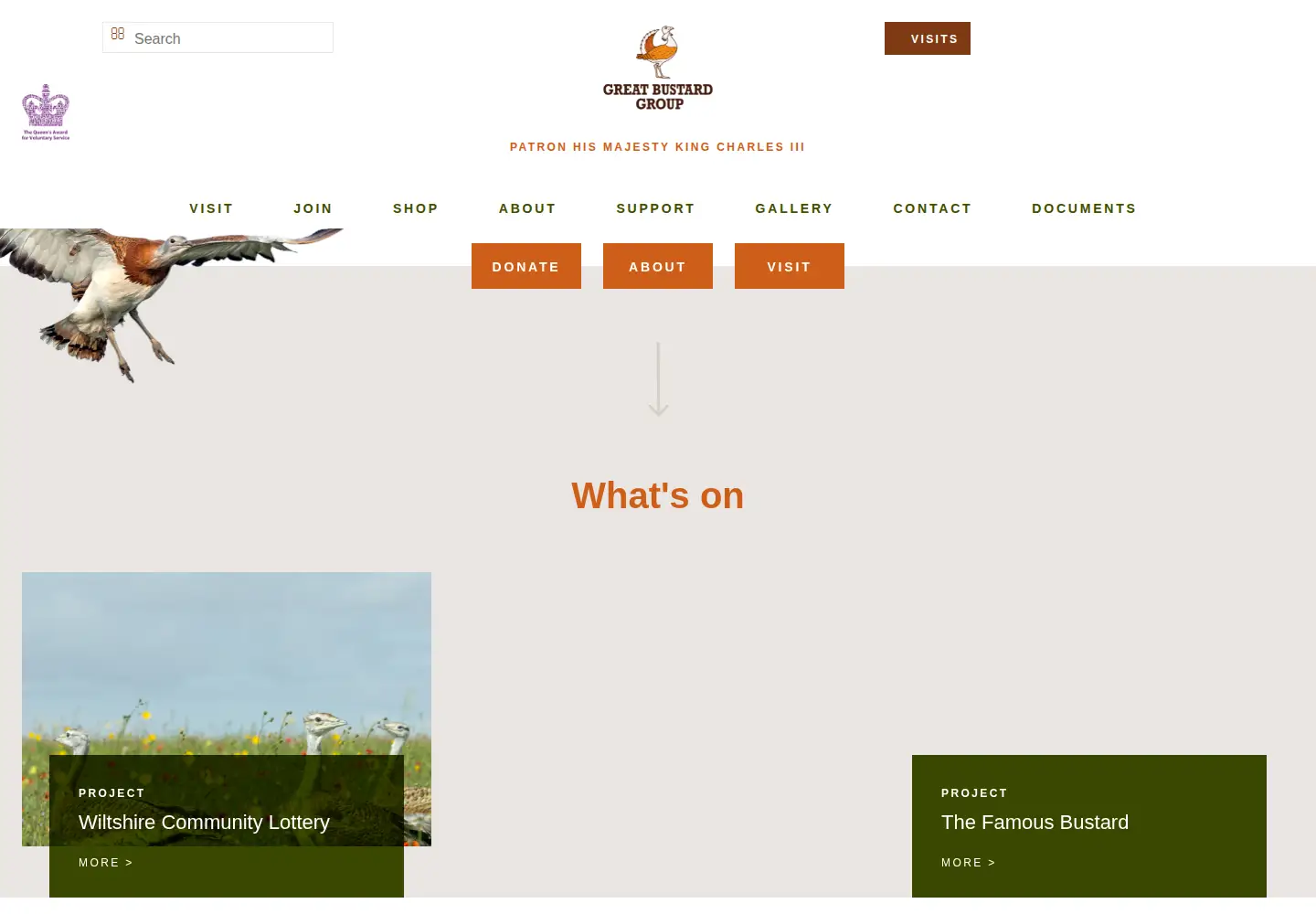 Screenshot of greatbustard.org