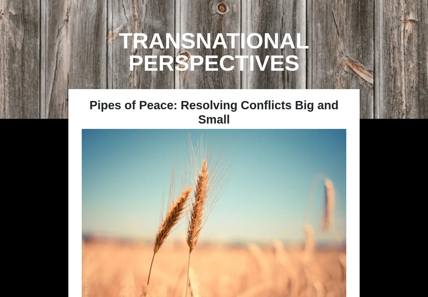 Screenshot of transnational-perspectives.org