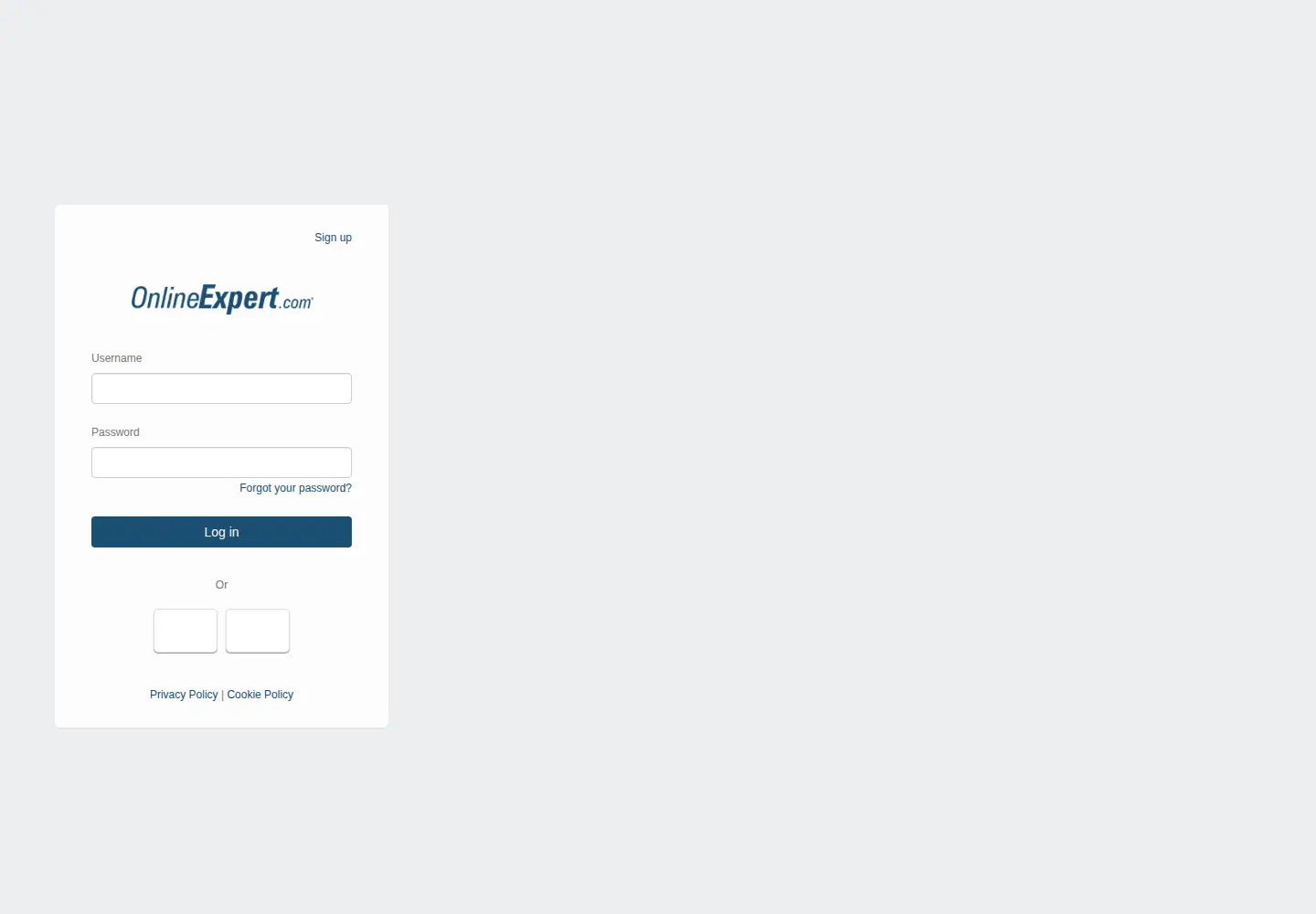 Captured homepage of onlineexpert.com in the current scan