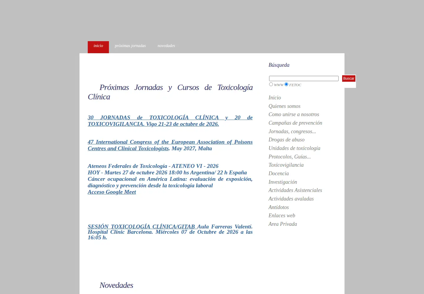 Captured homepage of fetoc.es in the current scan