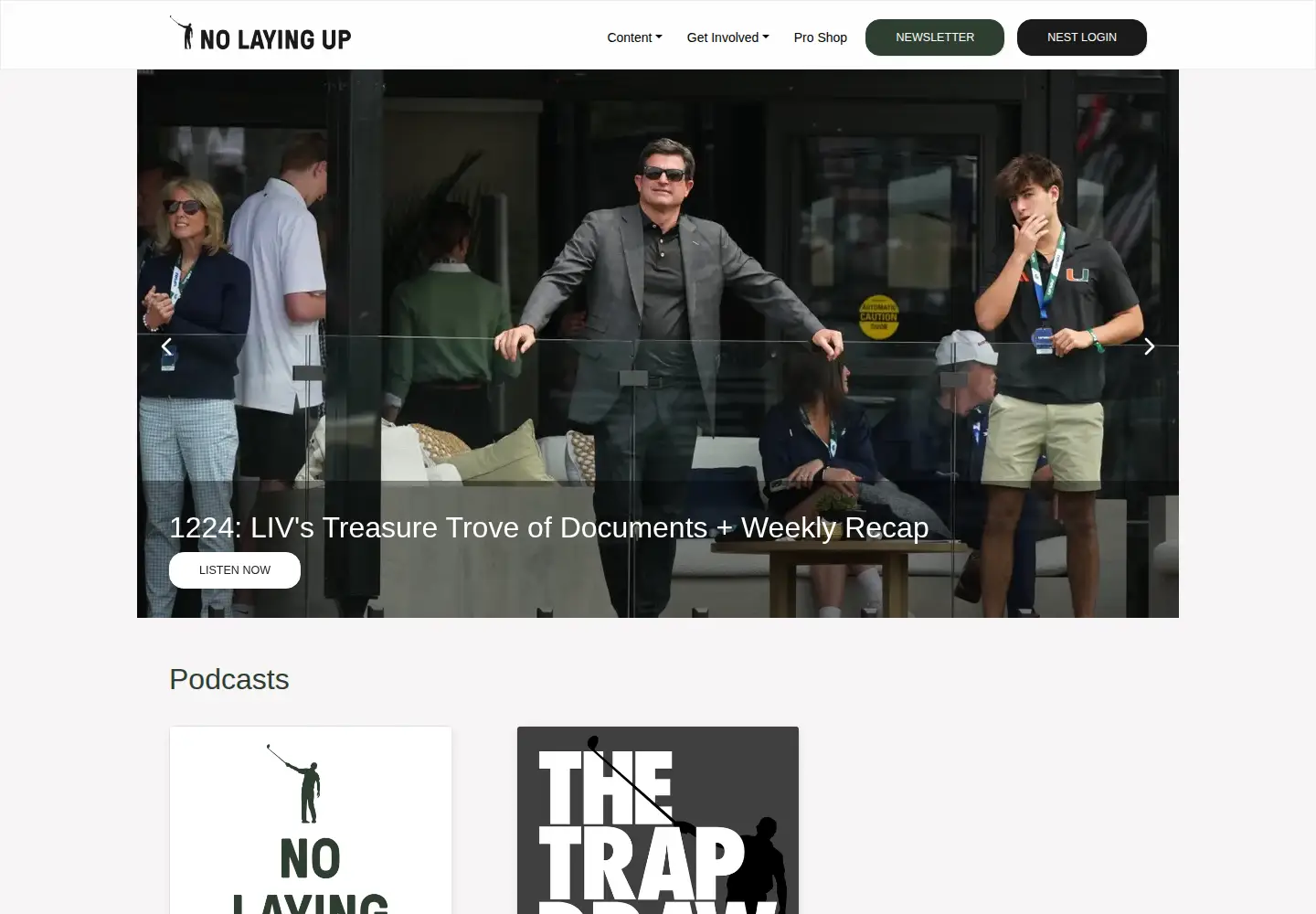 Captured homepage of nolayingup.com in the current scan