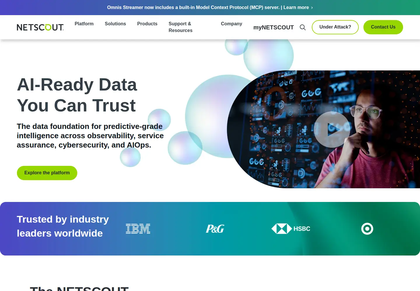 Screenshot of netscout.com