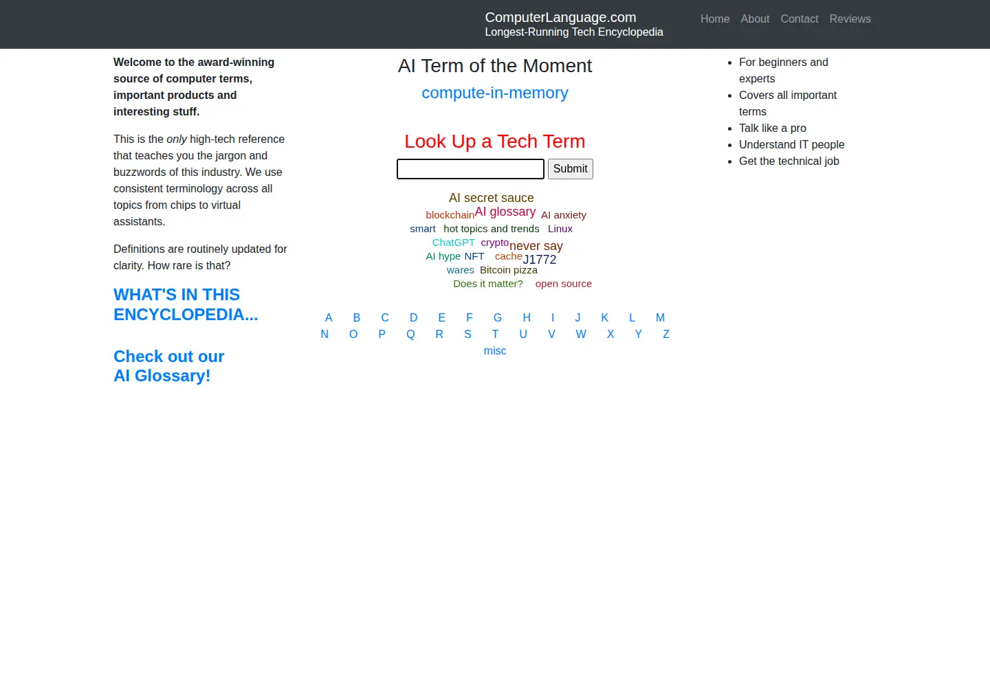 Screenshot of computerlanguage.com