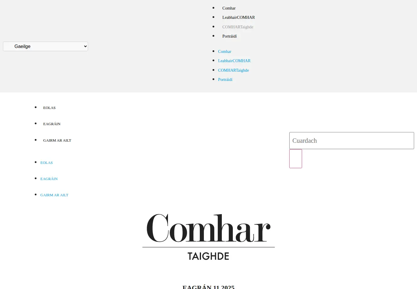 Captured homepage of comhartaighde.ie in the current scan