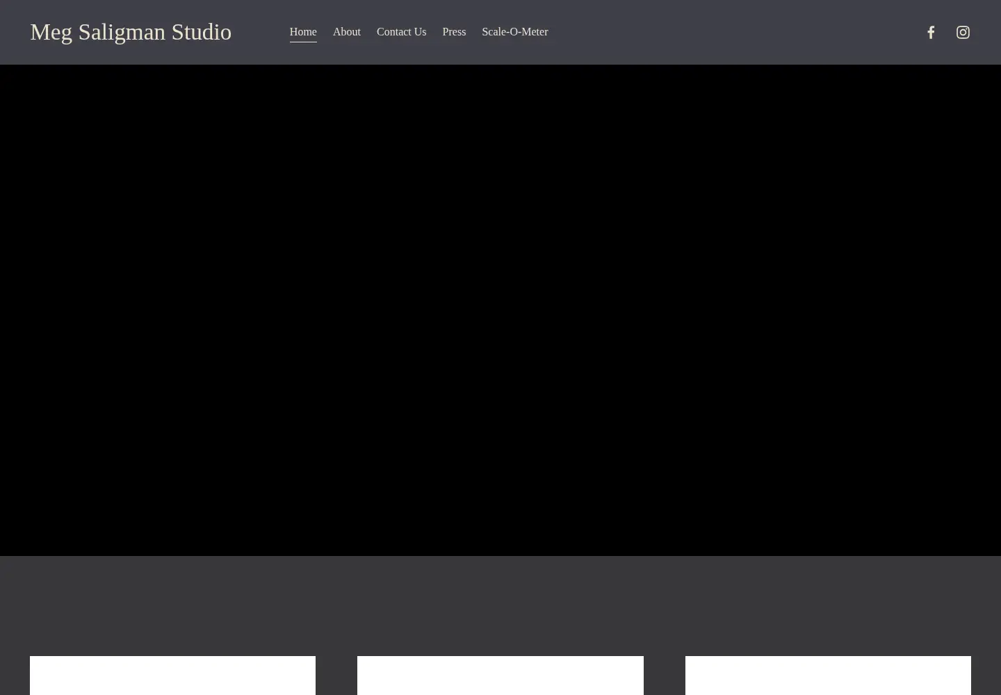 Captured homepage of megsaligman.com in the current scan