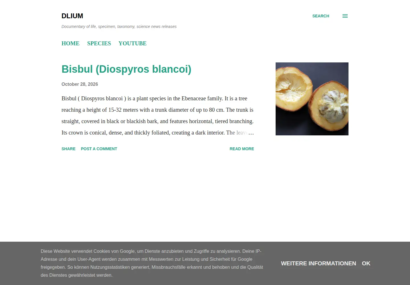 Screenshot of dlium.com
