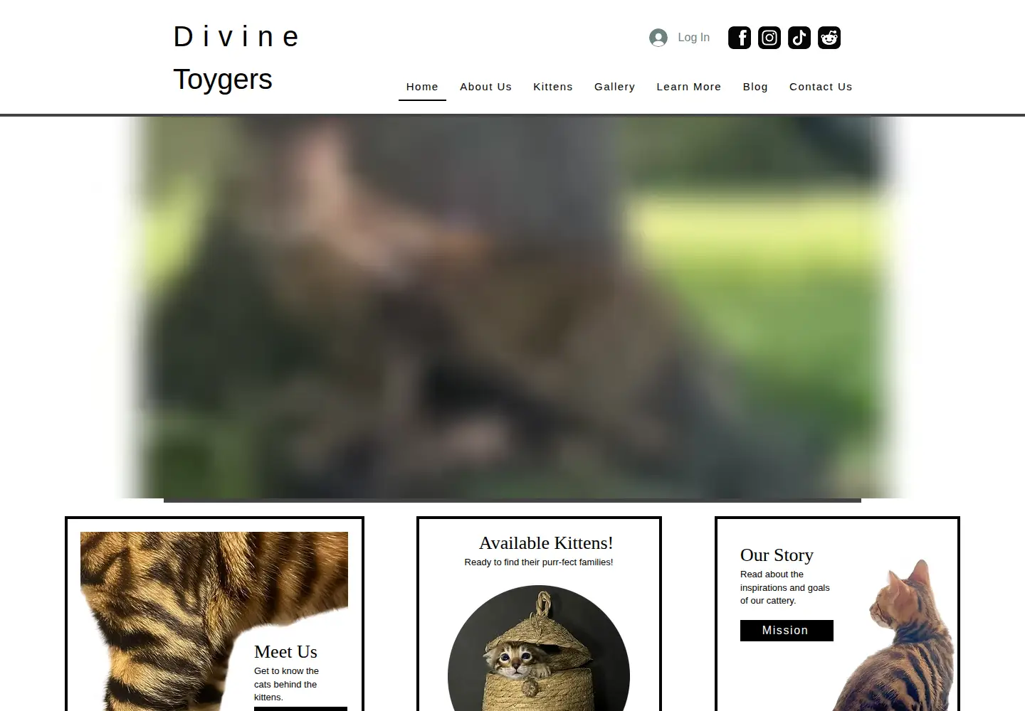 Captured homepage of toygers.org in the current scan