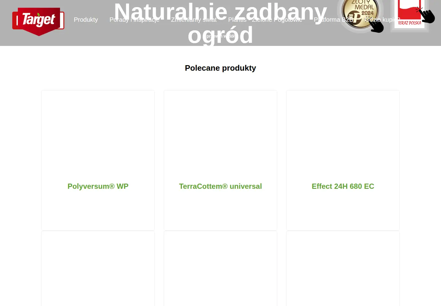 Screenshot of target.com.pl