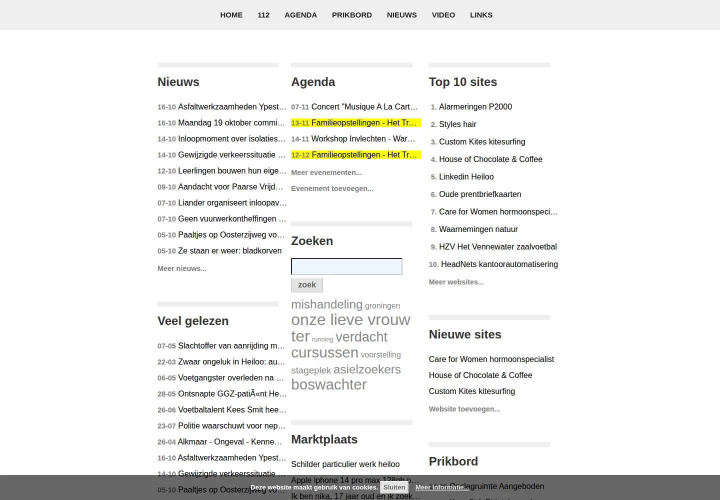 Captured homepage of heiloo-online.nl in the current scan