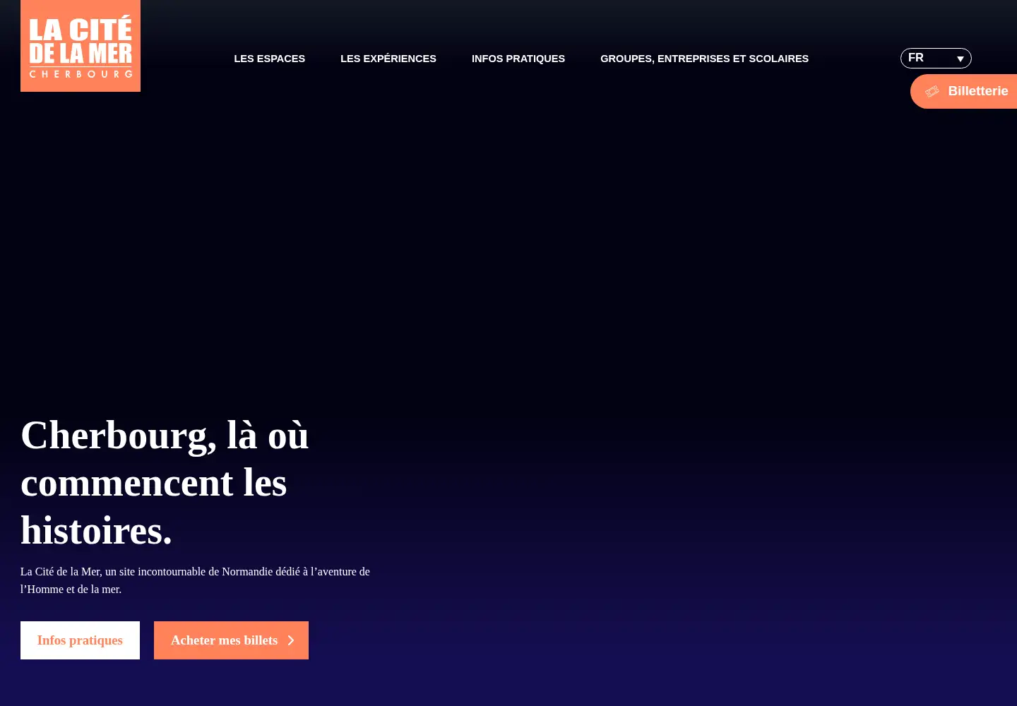 Screenshot of citedelamer.com