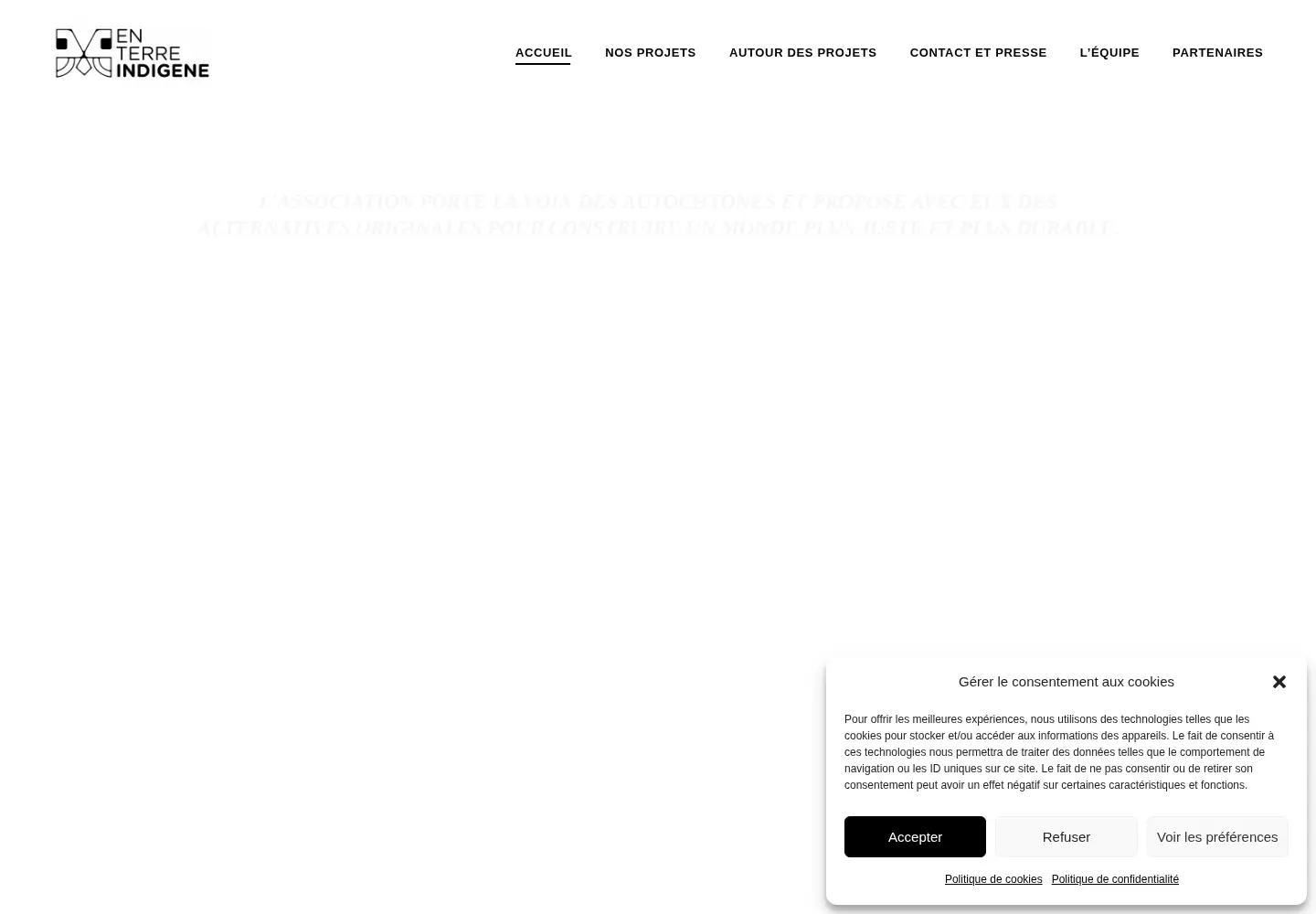 Screenshot of enterreindigene.com