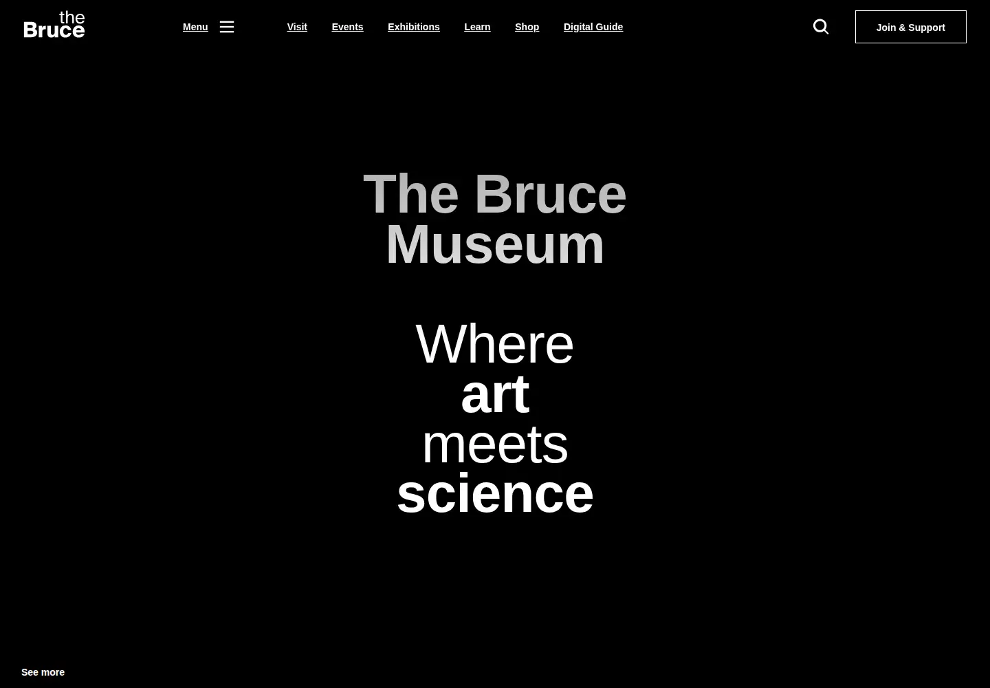 Screenshot of brucemuseum.org
