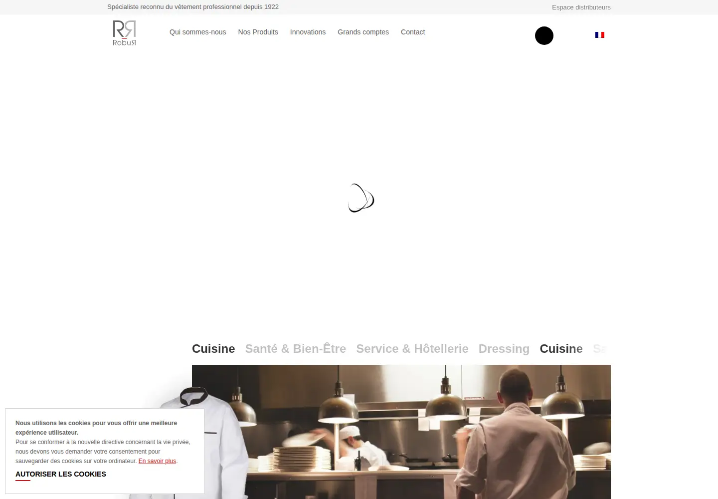 Screenshot of roburstore.com