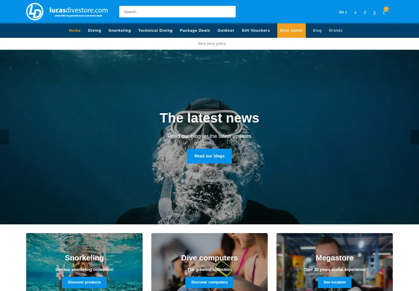 Screenshot of lucasdivestore.com