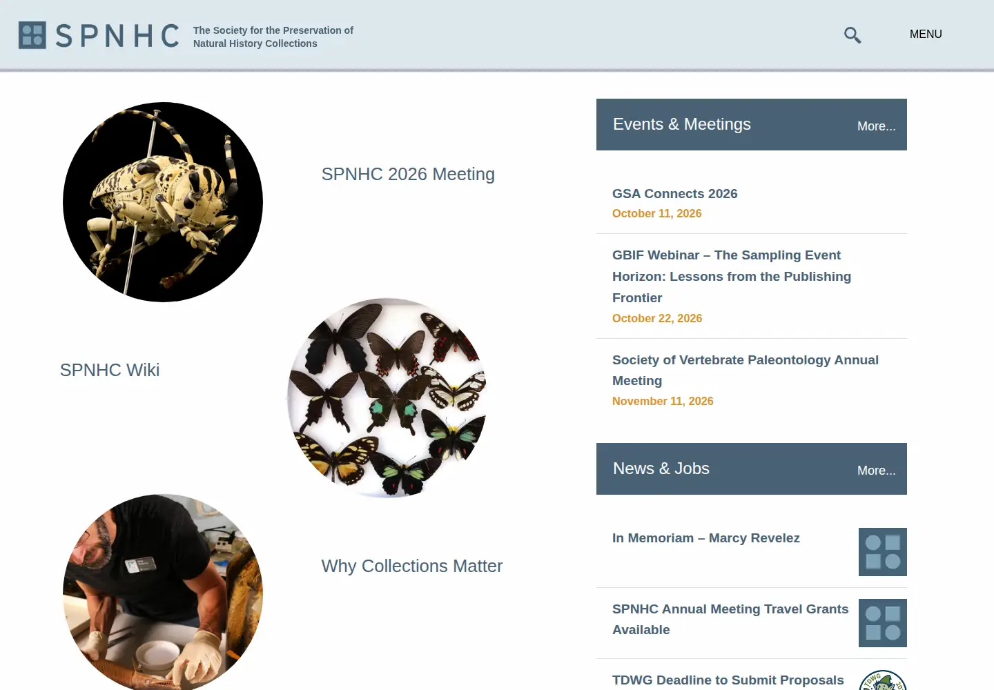 Screenshot of spnhc.org