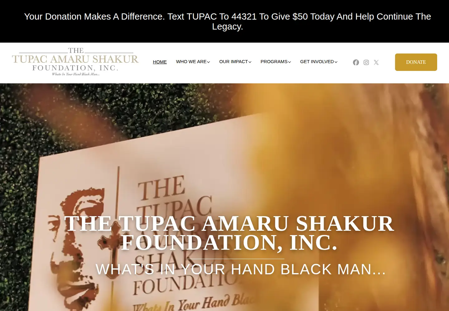 Screenshot of tasf.org