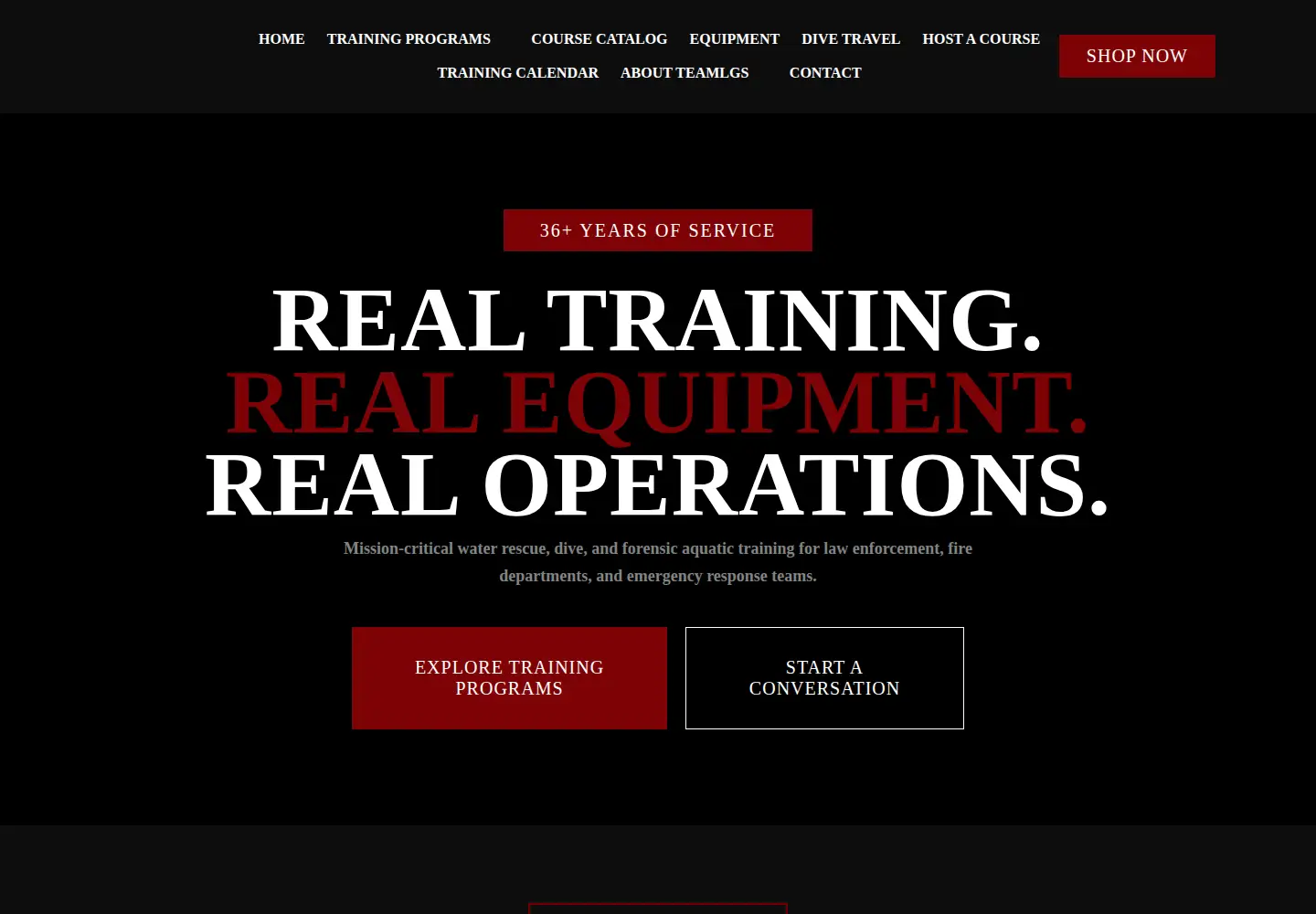 Captured homepage of teamlgs.com in the current scan