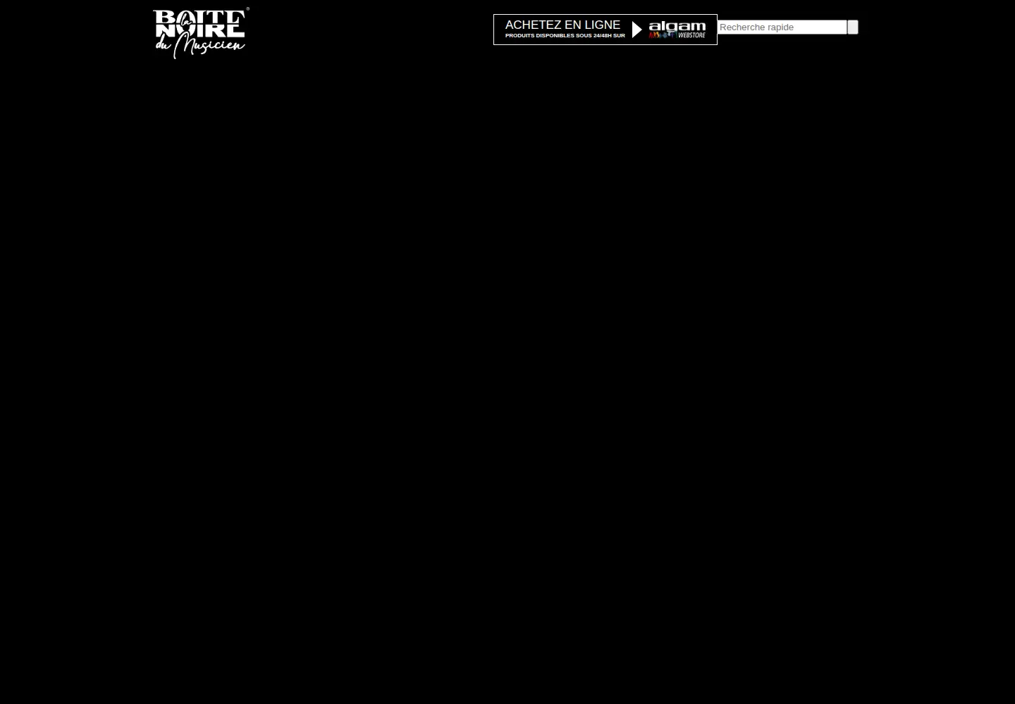 Captured homepage of laboitenoiredumusicien.com in the current scan