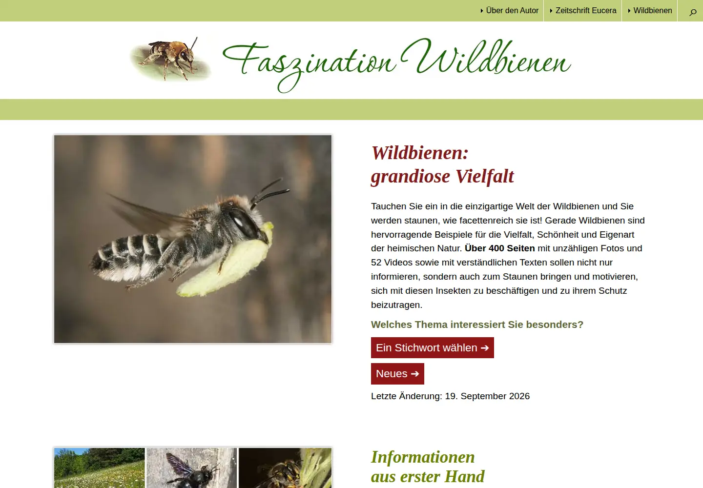 Screenshot of wildbienen.info