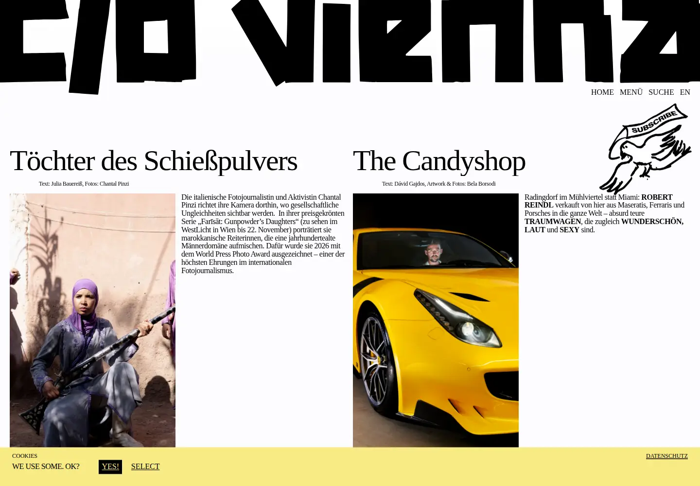 Screenshot of co-vienna.com