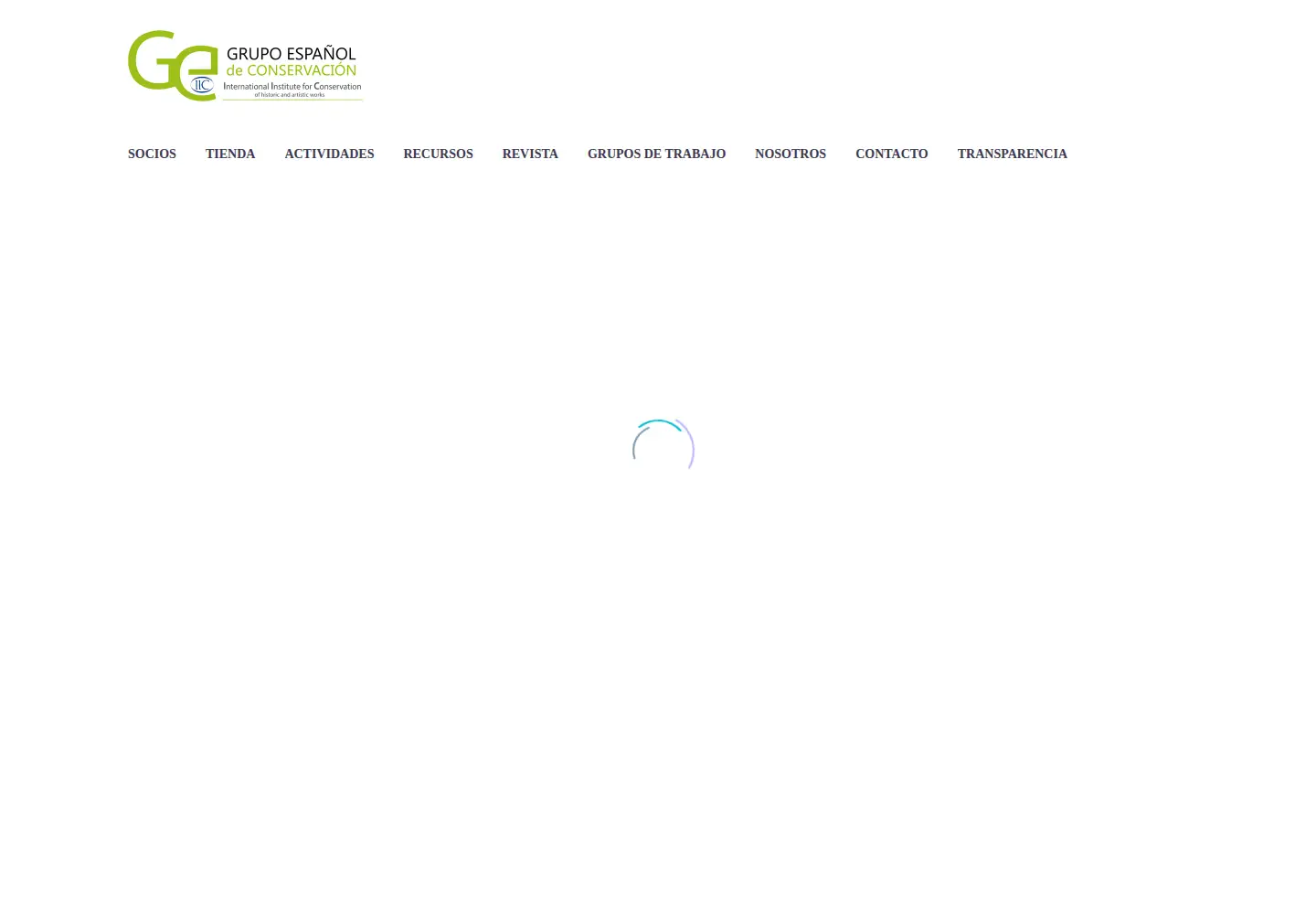 Screenshot of ge-iic.com