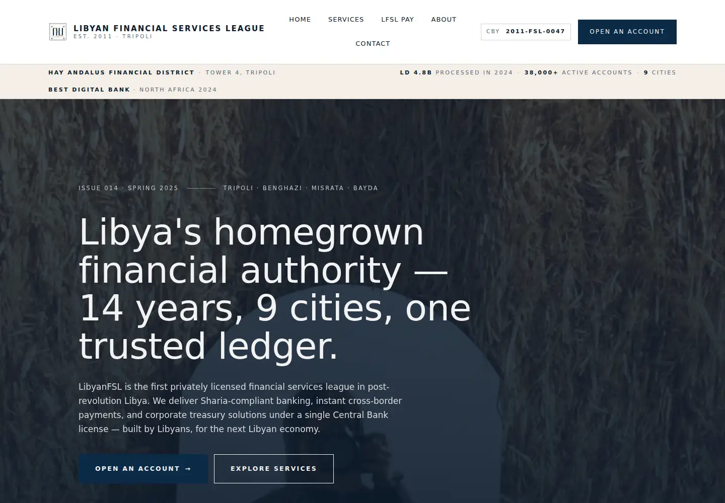Screenshot of libyanfsl.com