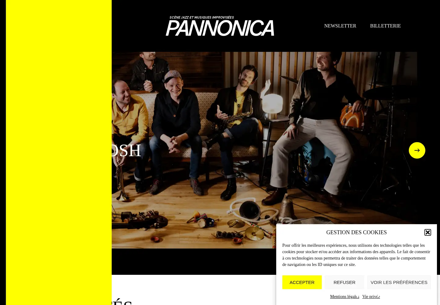 Screenshot of pannonica.com