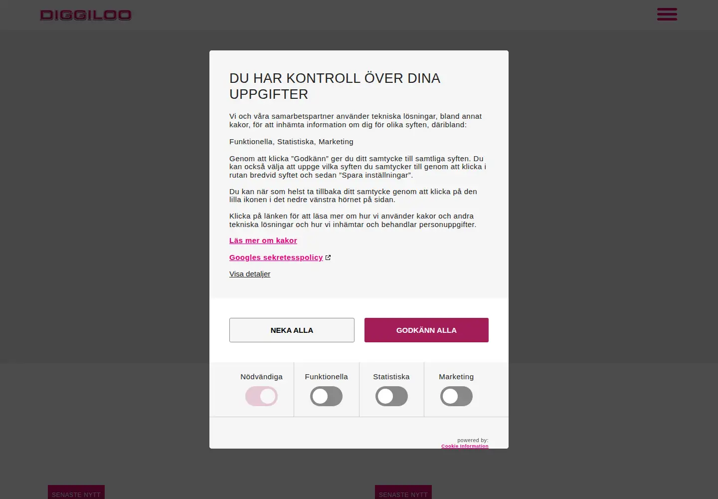 Screenshot of diggiloo.com