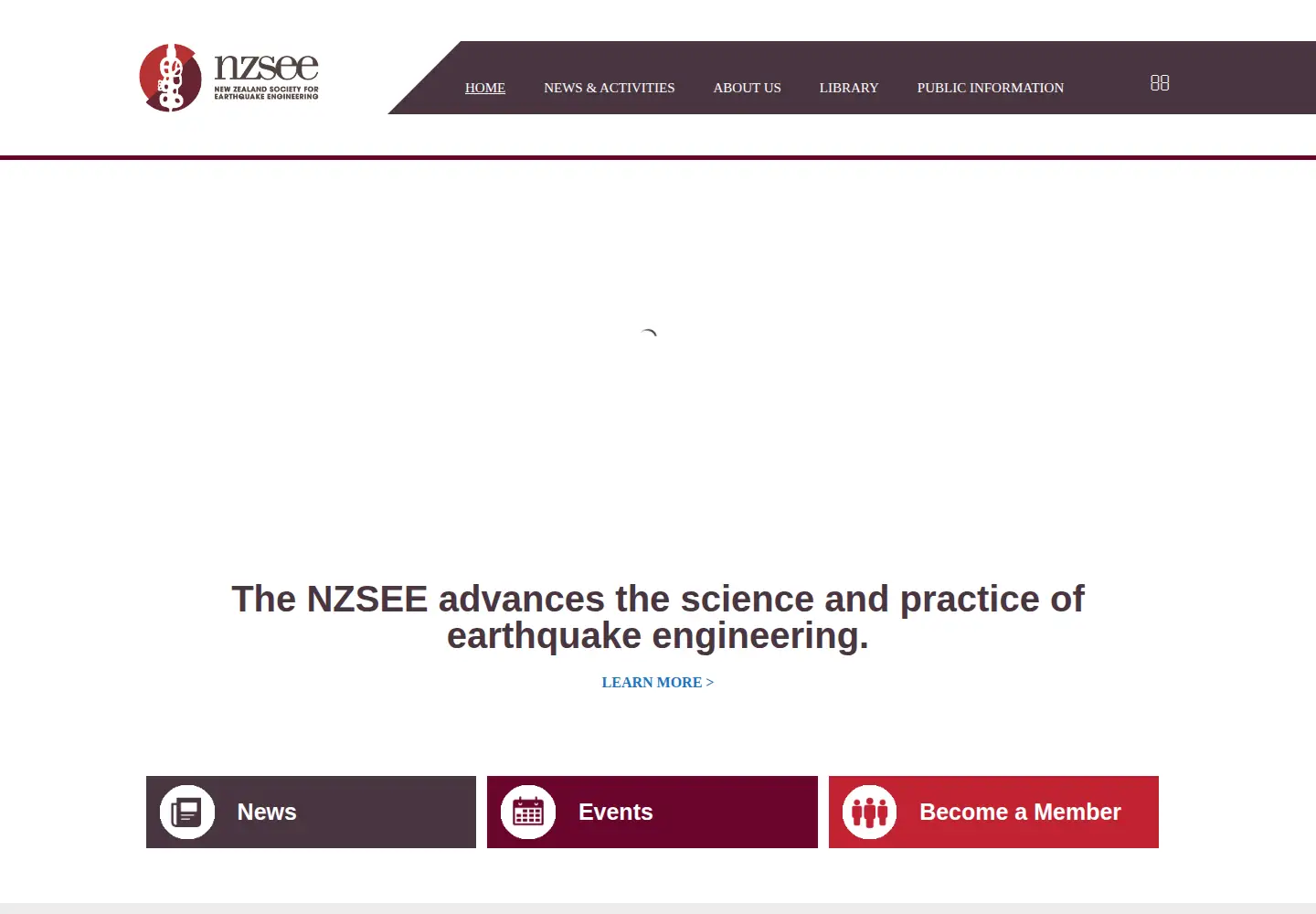 Screenshot of nzsee.org.nz
