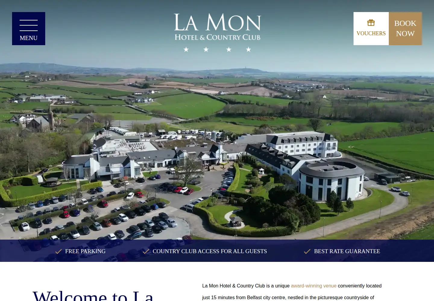 Screenshot of lamon.co.uk