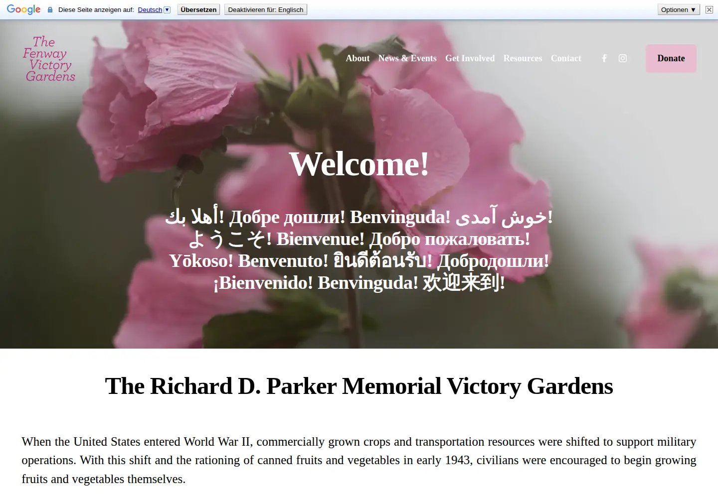 Captured homepage of fenwayvictorygardens.com in the current scan