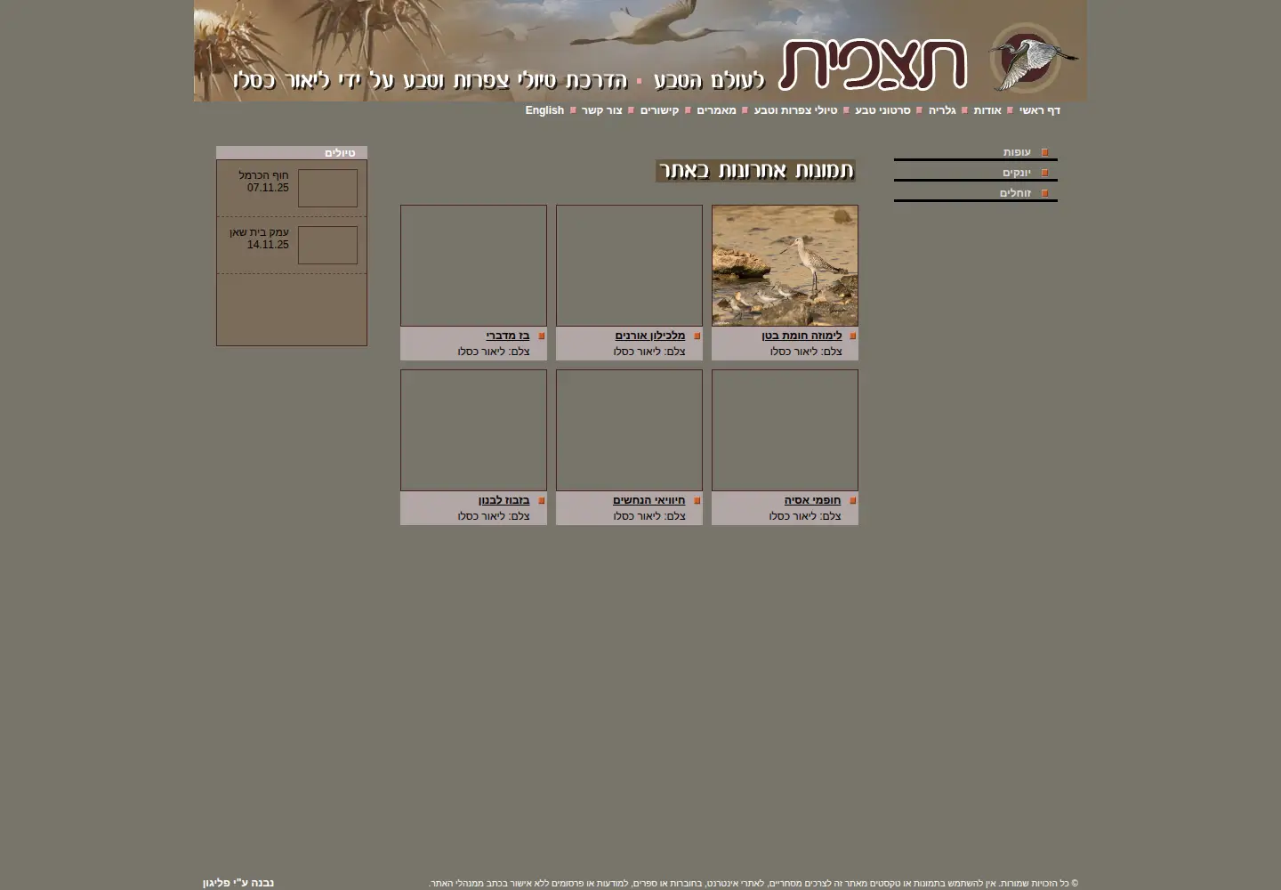 Screenshot of tatzpit.com