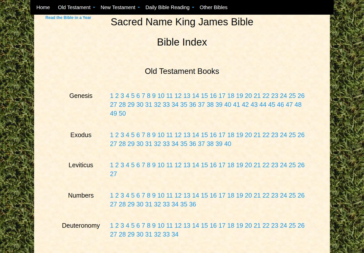 Screenshot of sacrednamebible.com