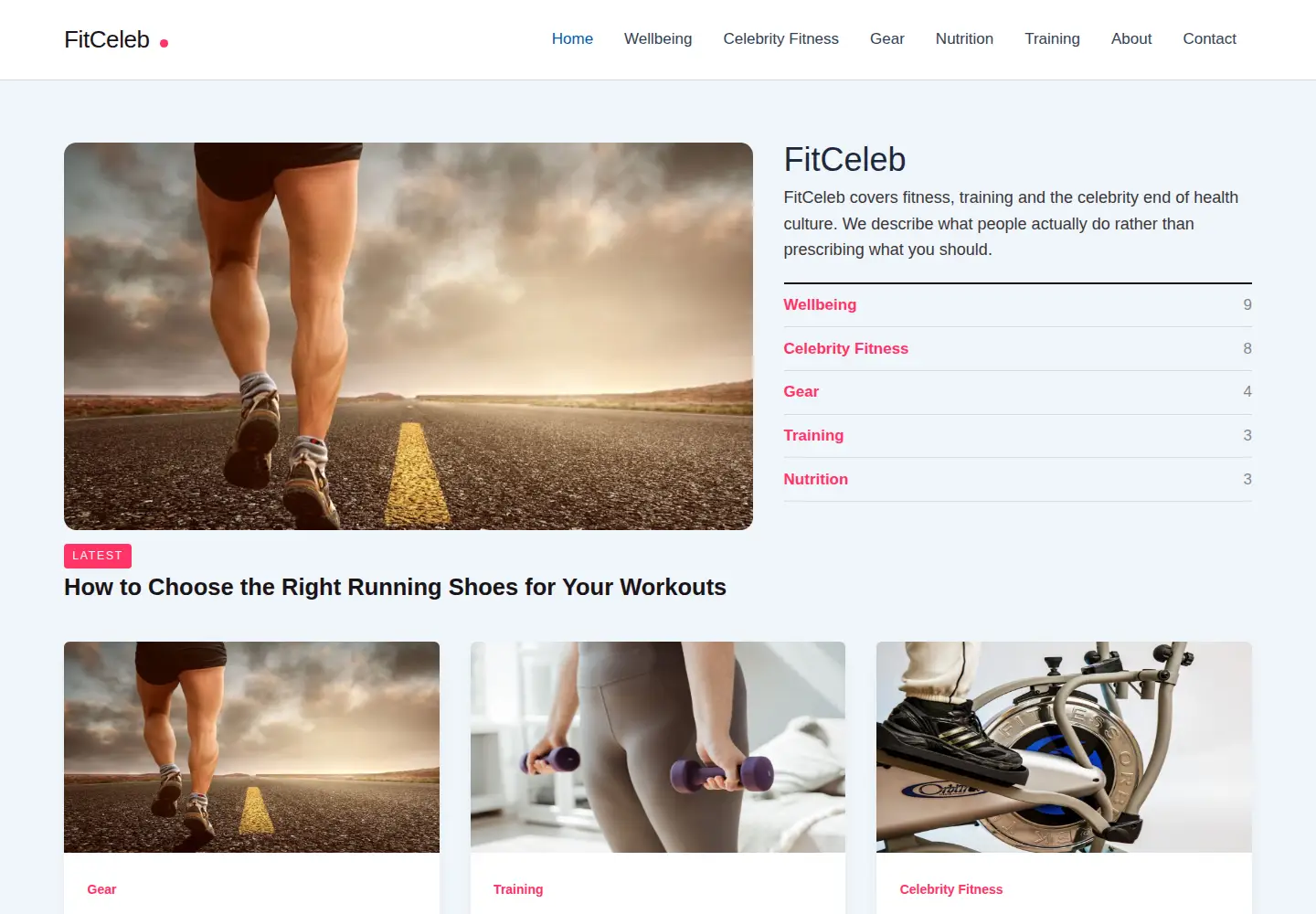 Captured homepage of fitceleb.com in the current scan