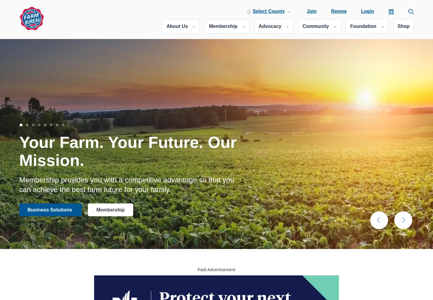 Screenshot of ofbf.org