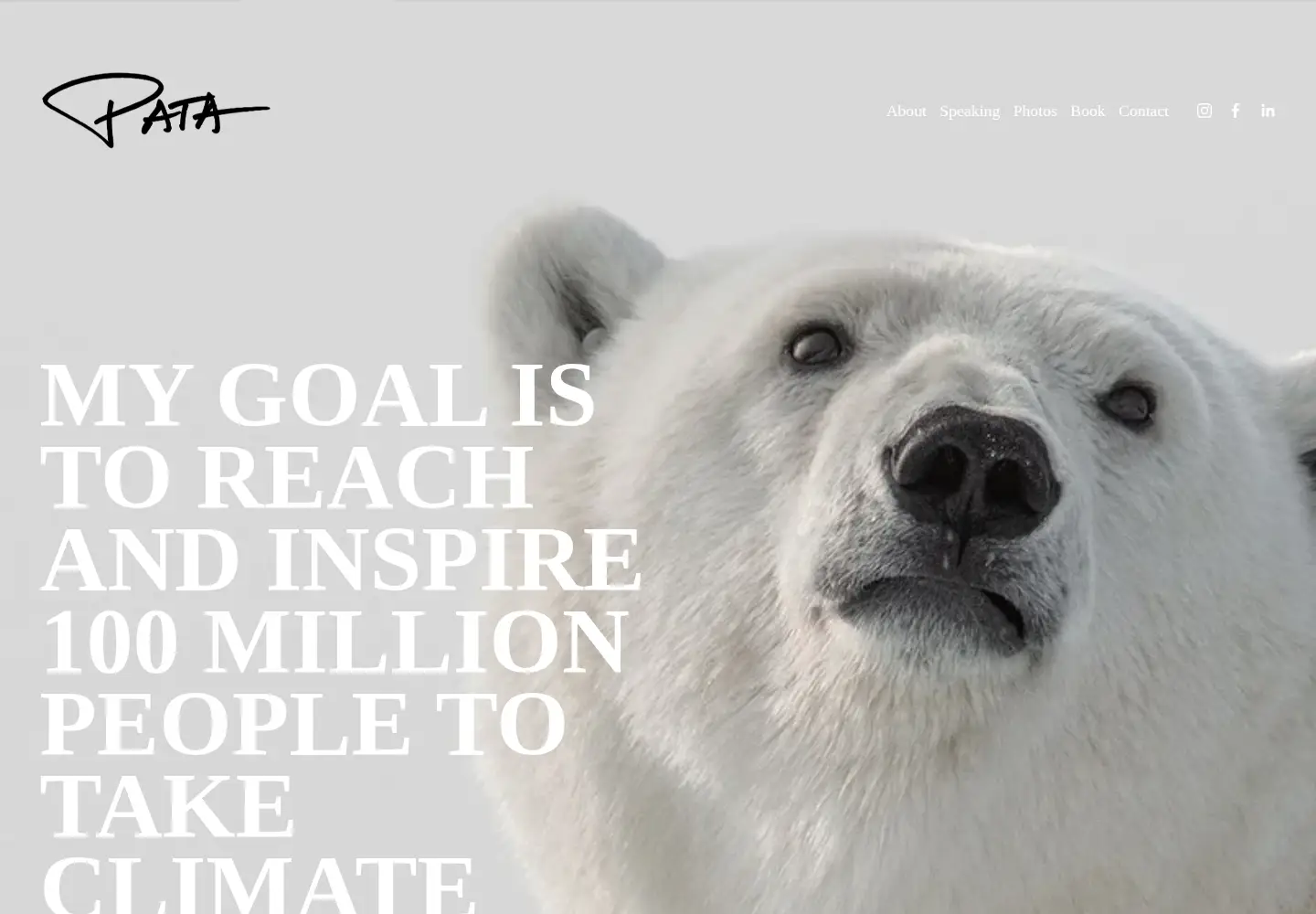 Captured homepage of pata.fi in the current scan
