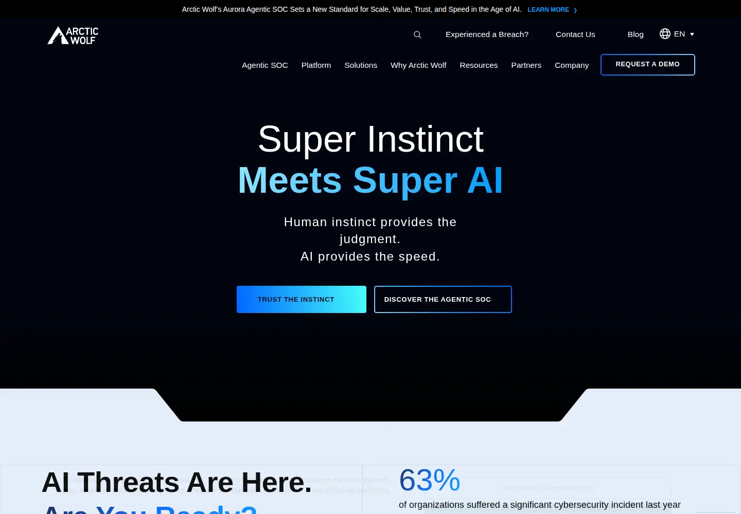 Screenshot of arcticwolf.com